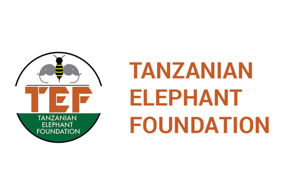Tanzania Elephant FOUNDATION